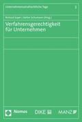 Soyer / Schumann |  Verfahrensgerechtigkeit für Unternehmen | eBook | Sack Fachmedien