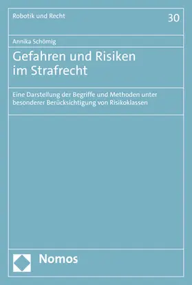 Schömig | Gefahren und Risiken im Strafrecht | E-Book | sack.de