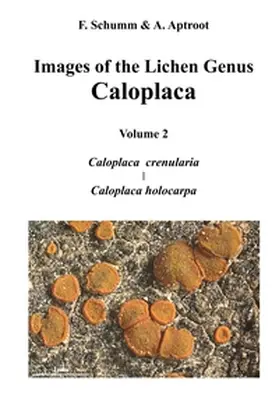 Schumm / Aptroot |  Images of the Lichen Genus Caloplaca, Vol 2 | Buch |  Sack Fachmedien