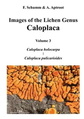 Schumm / Aptroot |  Images of the Lichen Genus Caloplaca, Vol 3 | Buch |  Sack Fachmedien
