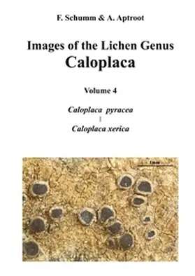 Schumm |  Images of the Lichen Genus Caloplaca, Vol4 | Buch |  Sack Fachmedien