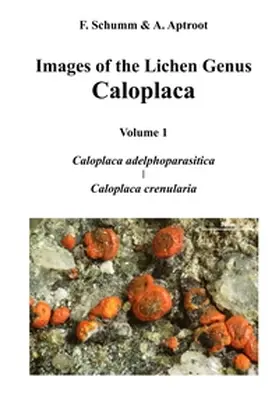 Schumm |  Images of the Lichen Genus Caloplaca, Vol 1 | Buch |  Sack Fachmedien