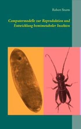Sturm |  Computermodelle zur Reproduktion und Entwicklung hemimetaboler Insekten | Buch |  Sack Fachmedien