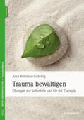 Romanus-Ludewig |  Trauma bewältigen | Buch |  Sack Fachmedien