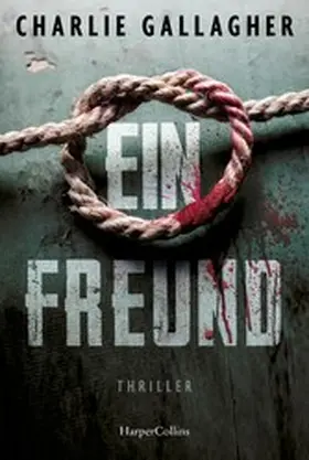 Gallagher |  Ein Freund | eBook | Sack Fachmedien