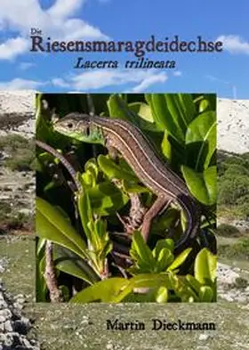 Dieckmann |  Die Riesensmaragdeidechse | Buch |  Sack Fachmedien