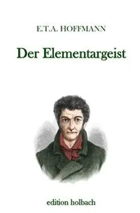 Hoffmann |  Der Elementargeist | Buch |  Sack Fachmedien