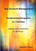 Biesel |  Key Account Management | Buch |  Sack Fachmedien