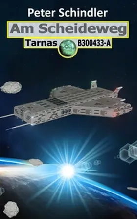 Schindler |  Am Scheideweg | Buch |  Sack Fachmedien