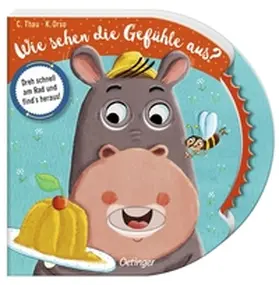 Orso |  Wie sehen die Gefühle aus? | Buch |  Sack Fachmedien