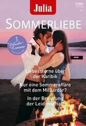Anderson / Gilmore / Hayes |  Julia Sommerliebe Band 32 | eBook | Sack Fachmedien