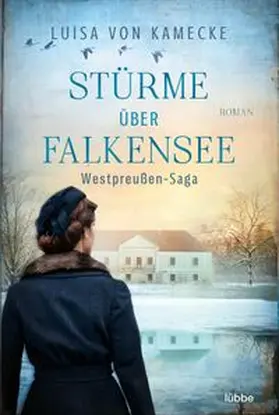 Kamecke |  Stürme über Falkensee | eBook | Sack Fachmedien