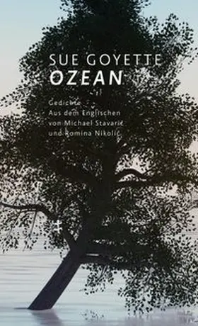 Goyette |  Ozean | Buch |  Sack Fachmedien