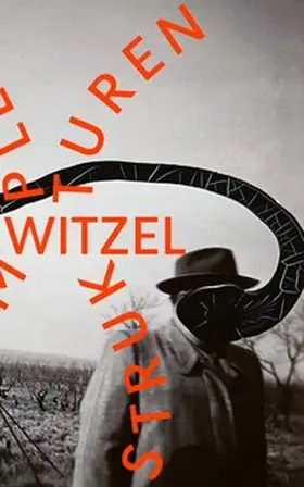 Witzel |  Komplexe Strukturen | Buch |  Sack Fachmedien