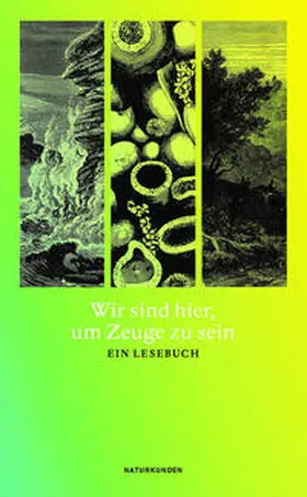 Schalansky |  Wir sind hier, um Zeuge zu sein | Buch |  Sack Fachmedien