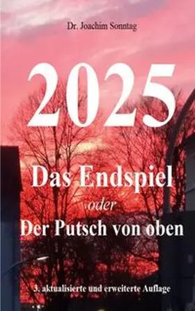 Sonntag |  2025 - Das Endspiel | Buch |  Sack Fachmedien