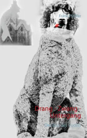 Pfeiffer |  Drang - Zwang - Untergang | eBook | Sack Fachmedien