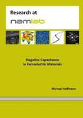 Hoffmann |  Negative Capacitance in Ferroelectric Materials | Buch |  Sack Fachmedien
