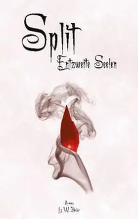 Backer |  Split | Buch |  Sack Fachmedien