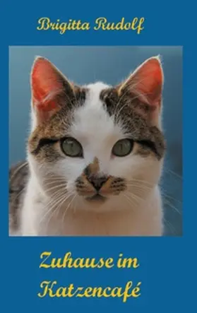 Rudolf | Zuhause im Katzencafé | Buch | 978-3-7526-1220-2 | www.sack.de