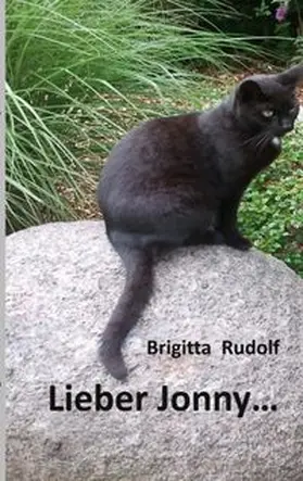 Rudolf |  Lieber Jonny | Buch |  Sack Fachmedien