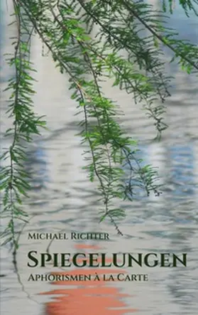 Richter |  Spiegelungen | Buch |  Sack Fachmedien