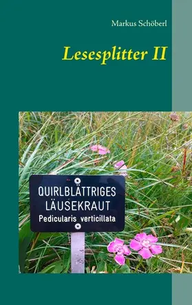 Schöberl |  Lesesplitter II | eBook | Sack Fachmedien
