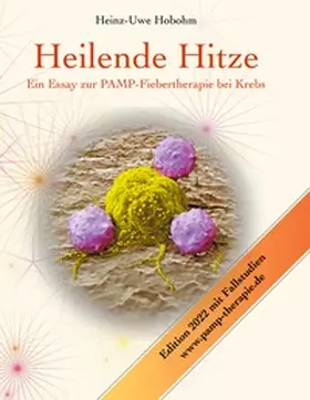 Hobohm |  Heilende Hitze | Buch |  Sack Fachmedien