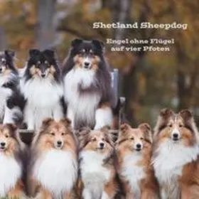 Steuerwald |  Shetland Sheepdog | Buch |  Sack Fachmedien