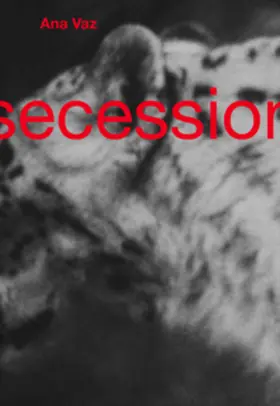  Ana Vaz | Buch |  Sack Fachmedien