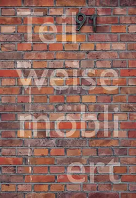 Martin |  Teilweise möbliert, exzellente Aussicht. Ortsspezifische Kunst für Haus Lange | Buch |  Sack Fachmedien