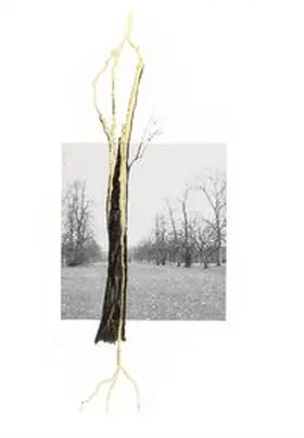 Adjil / Chow |  Giuseppe Penone. Thoughts in the Roots | Buch |  Sack Fachmedien