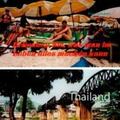 Schubert |  Thailand | Buch |  Sack Fachmedien