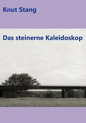 Stang |  Das steinerne Kaleidoskop | Buch |  Sack Fachmedien