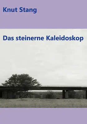 Stang |  Das steinerne Kaleidoskop | eBook | Sack Fachmedien