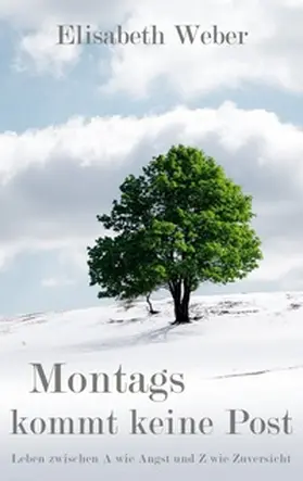 Weber |  Montags kommt keine Post | Buch |  Sack Fachmedien