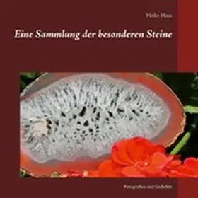 Haas |  Eine Sammlung der besonderen Steine | eBook | Sack Fachmedien