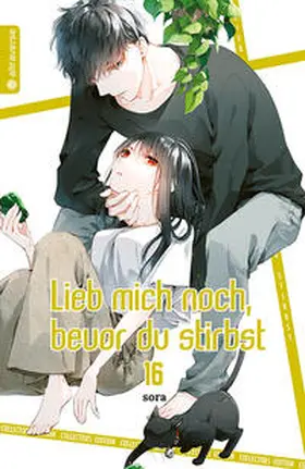 sora |  Lieb mich noch, bevor du stirbst Collectors Edition 16 | Buch |  Sack Fachmedien