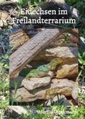 Dieckmann |  Eidechsen im Freilandterrarium | Buch |  Sack Fachmedien