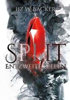 Backer |  Split | Buch |  Sack Fachmedien