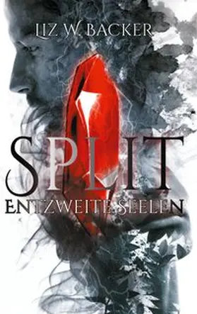 Backer |  Split | Buch |  Sack Fachmedien