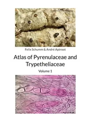 Schumm / Aptroot |  Atlas of Pyrenulaceae and Trypetheliaceae - Volume 1 | Buch |  Sack Fachmedien