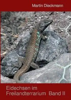 Dieckmann |  Eidechsen im Freilandterrarium | Buch |  Sack Fachmedien