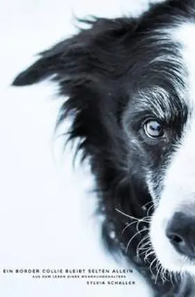 Schaller |  Ein Border Collie bleibt selten allein | Buch |  Sack Fachmedien