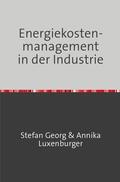 GEORG / Luxenburger |  Energiekostenmanagement in der Industrie | Buch |  Sack Fachmedien