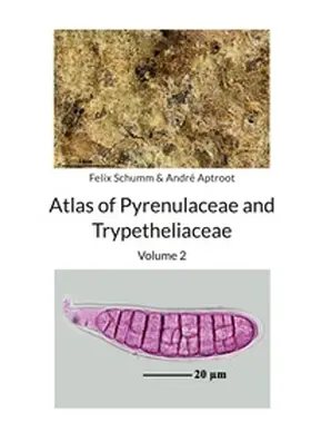 Schumm / Aptroot |  Atlas of Pyrenulaceae and Trypetheliaceae Volume 2 | Buch |  Sack Fachmedien