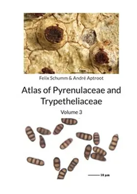 Schumm / Aptroot |  Atlas of Pyrenulaceae and Trypetheliaceae Vol 3 | Buch |  Sack Fachmedien