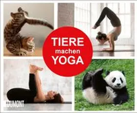  Tiere machen Yoga | Buch |  Sack Fachmedien