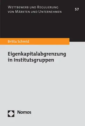 Schmid | Eigenkapitalabgrenzung in Institutsgruppen | Buch | 978-3-7560-0609-0 | www.sack.de