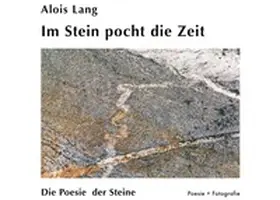Lang |  Im Stein pocht die Zeit | Buch |  Sack Fachmedien